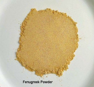Fenugreek - Powder