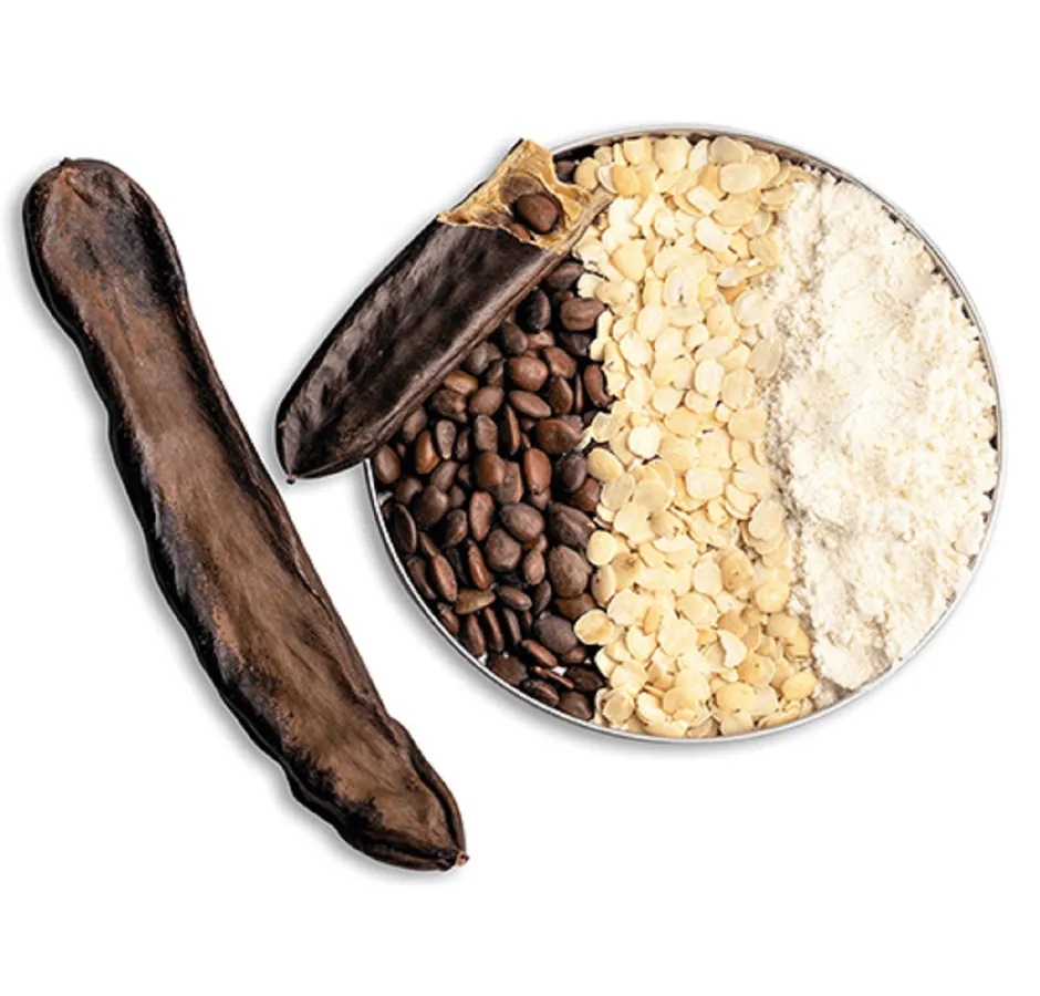 LOCUST BEAN GUM VISCOGUM Santis S.A.R.L. Ingredients Network