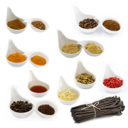 BOURBAN VANILLA PRODUCTS AND SPICES ORGANIC AND FAIR TRADE