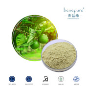 Diosmetin CAS: 520-34-3