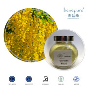 Quercetin CAS: 6151-25-3/117-39-5