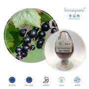 Black Currant Extract CAS：4852-22-6