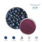 Blueberry Extract CAS:84082-34-8