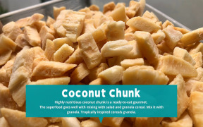 Coconut Chunk
