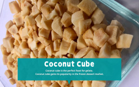 Coconut Cube