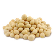 Soy Bean