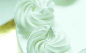 Palsgaard CreamWhip 431/ 412 low-fat non-dairy whipping cream emulsifier/stabiliser combination