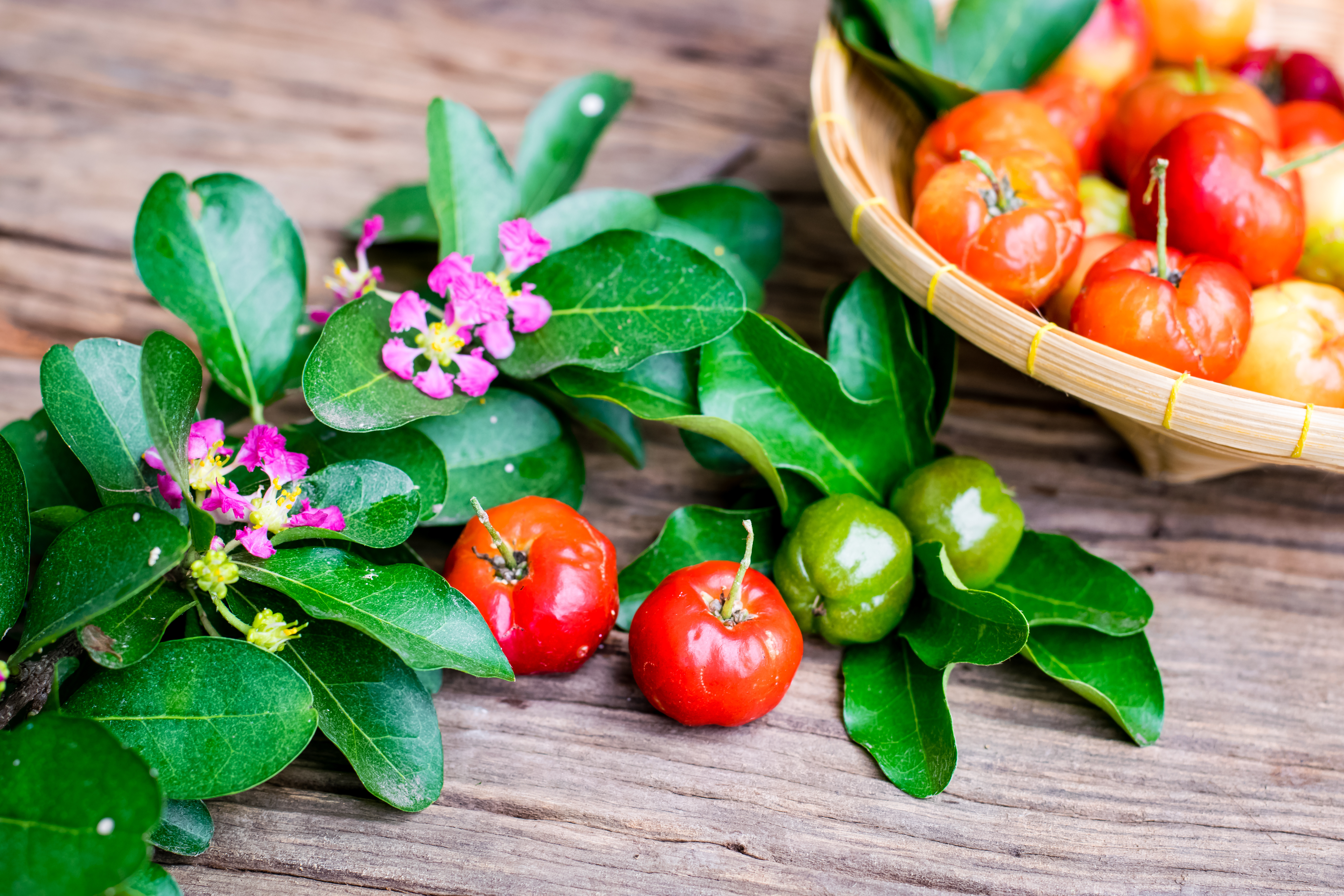 Acerola Powder