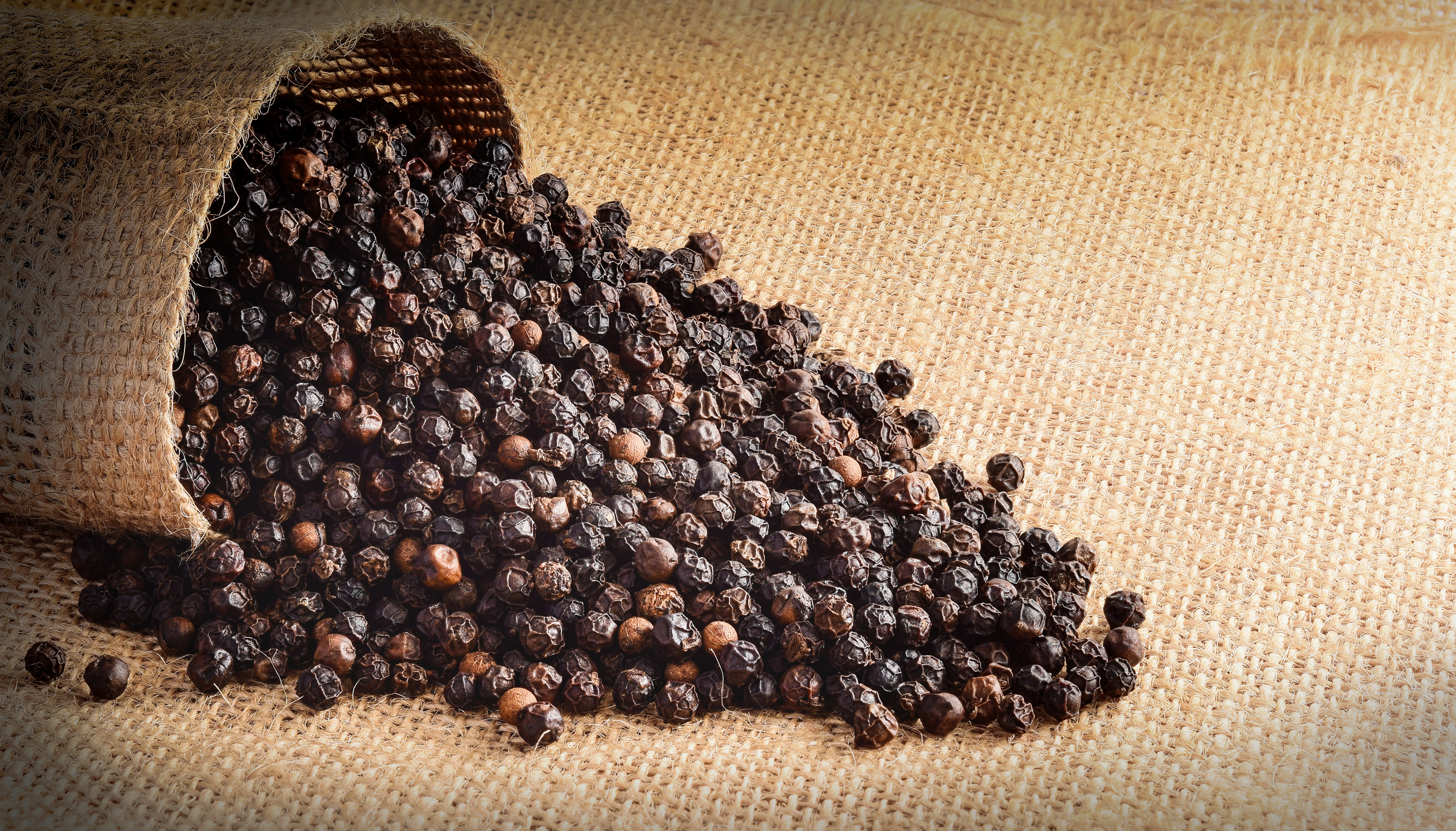 Black Pepper (Piper Nigrum)