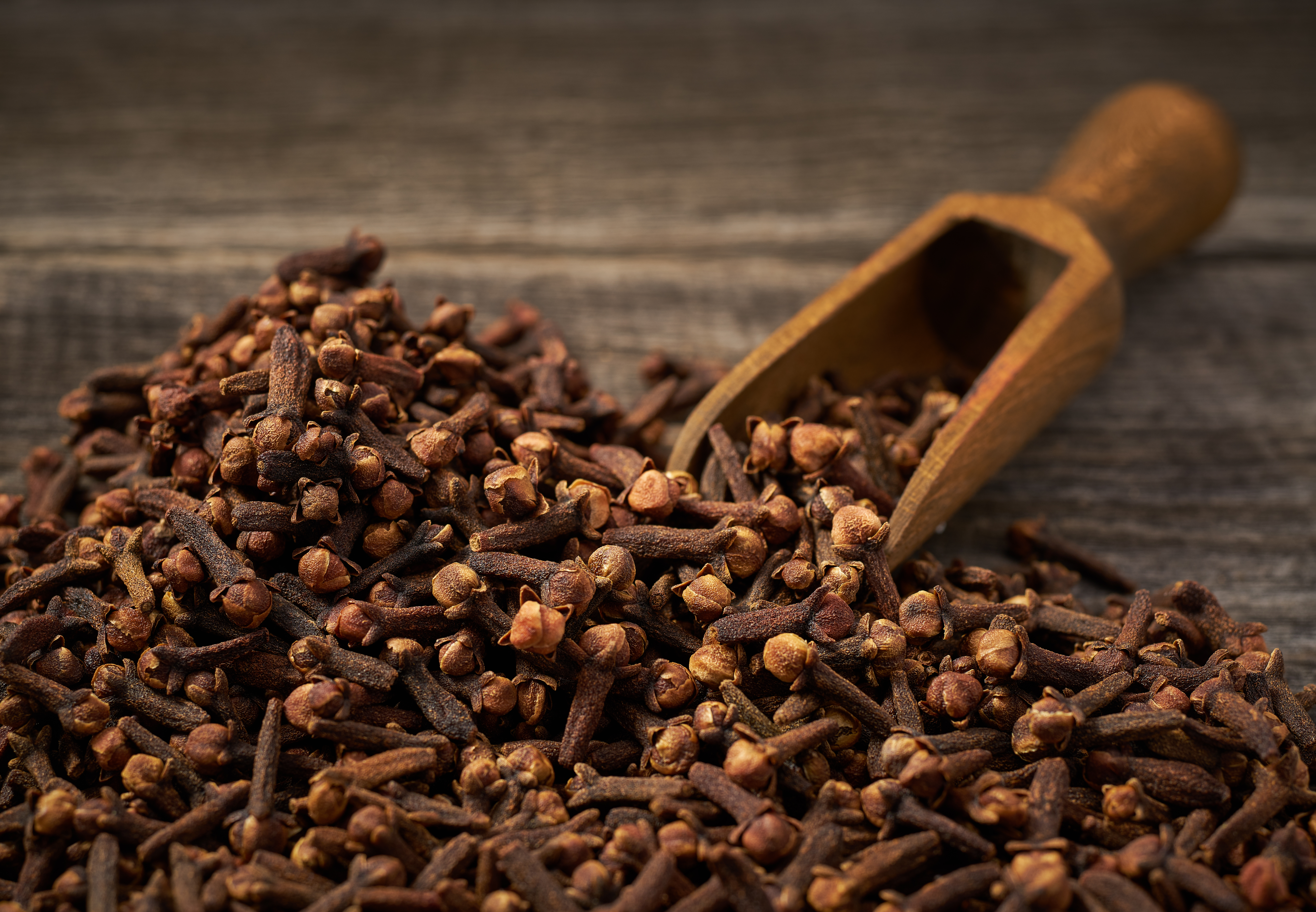 Clove (Eugenia Caryophyllus)