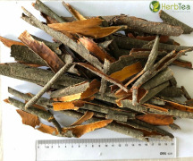 Dried alder buckthorn bark