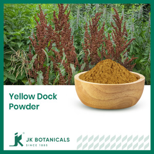 Yellow Dock Root Powder