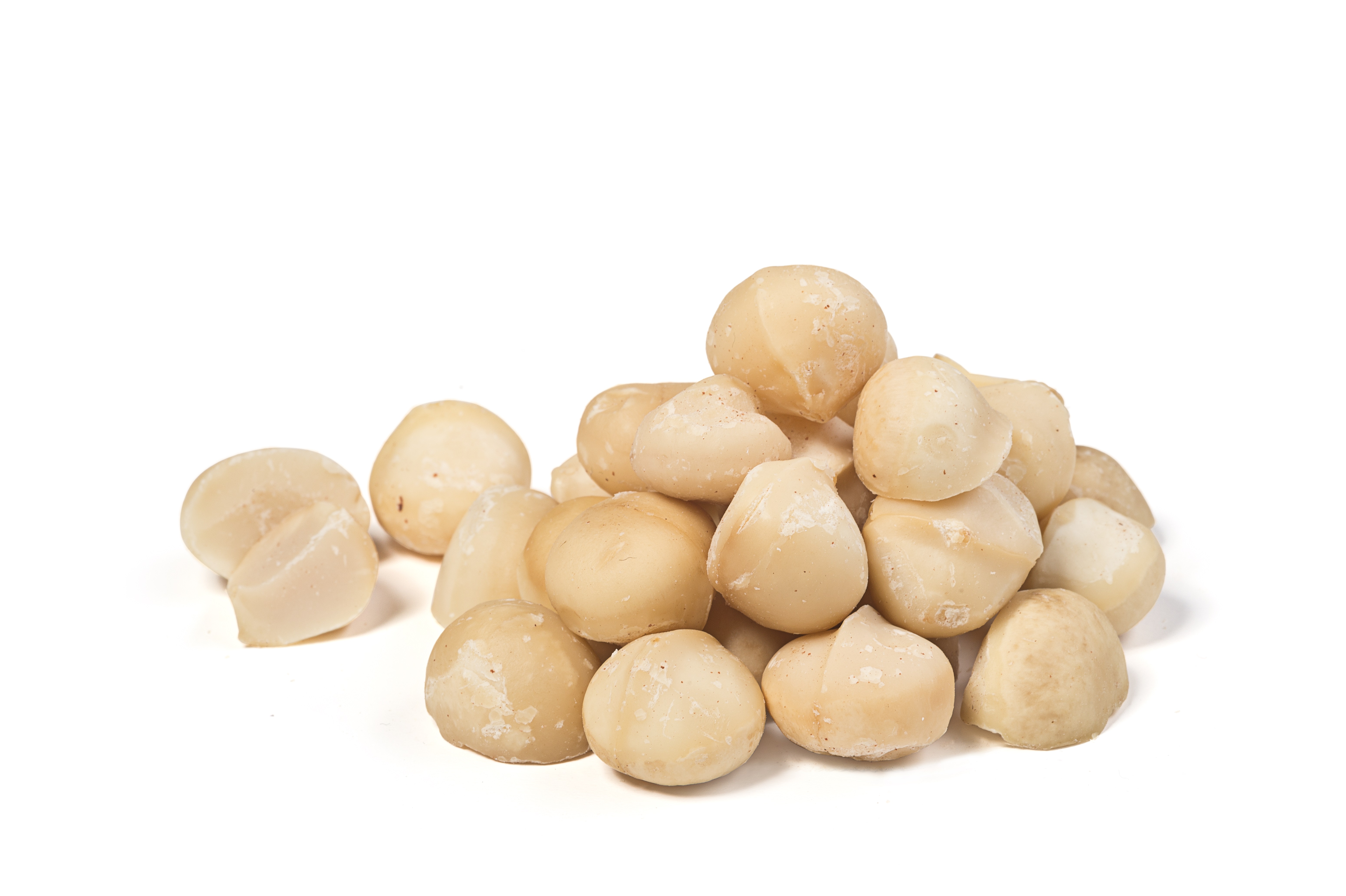 Organic Macadamia Nut Kernels