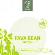 Fava bean protein concentrate