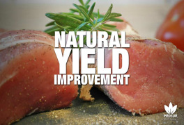 Natural Yield Improvement