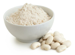 Fava Bean Protein | VitaPro F