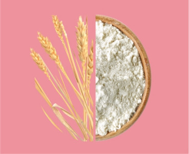 VITACEL® WF Wheat Fiber