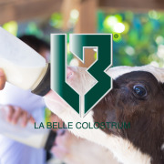 La Belle Bovine Colostrum Products for Animal Health