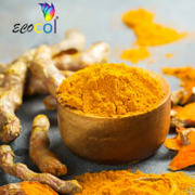 Ecocol - Curcumin Food Color
