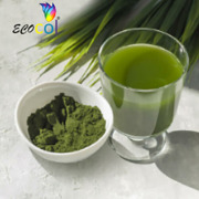 Ecocol - Chlorophyll Food Colour