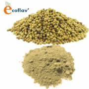ECOFLAV - Coriander Powder