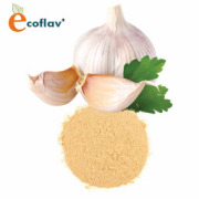 ECOFLAV - Garlic Powder