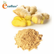 ECOFLAV - Ginger Powder