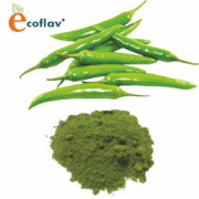 ECOFLAV - Green Chilly Powder