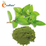 ECOFLAV - Mint Powder