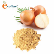 ECOFLAV - Onion Powder