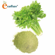 ECOFLAV - Celery Powder