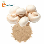 ECOFLAV - Mushroom Powder