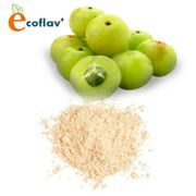 ECOFLAV - Amla Powder