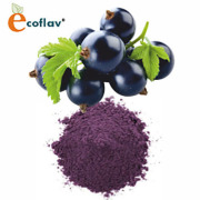 ECOFLAV - Black Currant Powder
