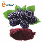 ECOFLAV - Blackberry Powder