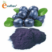 ECOFLAV - Blueberry Powder