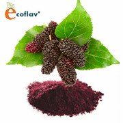 ECOFLAV - Mulberry Powder