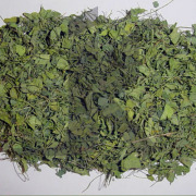 Fenugreek Leaves (Trigonella Foenum Graecum)