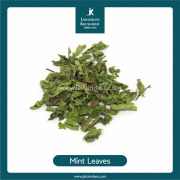 Mint Leaves (Mentha Arvensis)