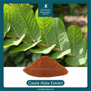 Cassia Leaves Extract