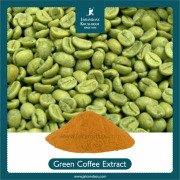 Green coffee Extract