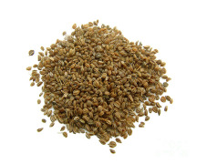 Celery Seed Oil (Super Critical Fluid Extract)
