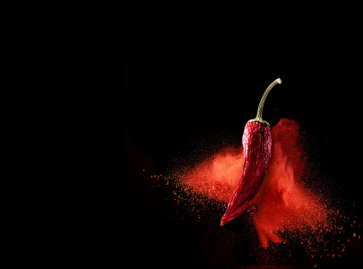 PRODRY® Culinary Powders