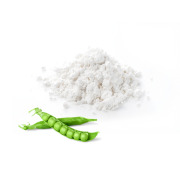 Pea starch - LP 66
