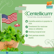 Centellicum