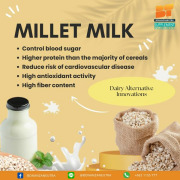 Millet Milk