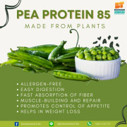 Pea Protein 85