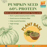 Pumpkin seed 60% Protein