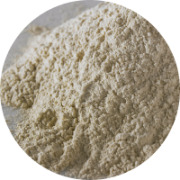 Dehydrated chicory powder