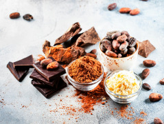 cocoa beans and ingredients